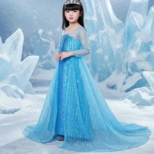 Kit C/6 Fantasias de Luxo Frozen