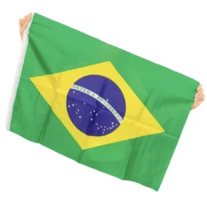 Kit C/12 BANDEIRA BRASIL 60X90CM