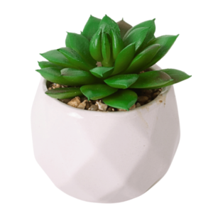 Suculenta Artificial Com Vaso 10cm x 5,5cm