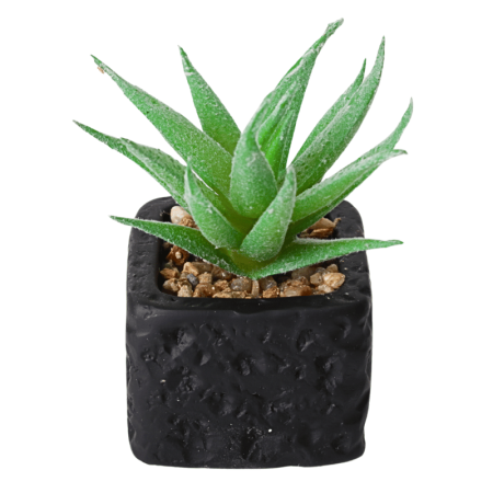 Suculenta Artificial Com Vaso 10cm x 5cm