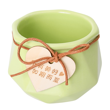 Vaso De Cerâmica Para Suculenta 10cm x 8cm